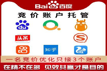 百度推广实战：成功企业的营销策略